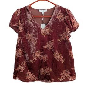 Women's Adyson Parker Mauve Floral Velvet Blouse S